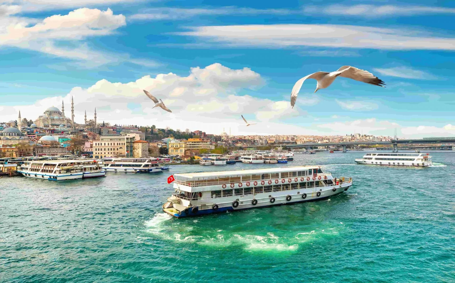 Bosphorus Cruise & Bus Tour